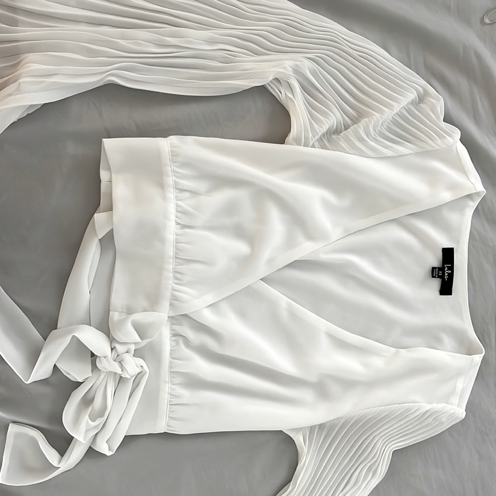 Sheer long sleeve crop tie top